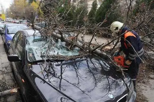 Столичанин в Пирогов след вчерашния ураган