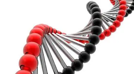 Гени увеличават риска от сърдечно-съдови заболявания 