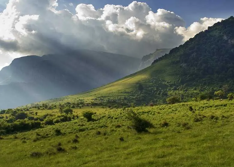 НПО обсъждат екологичното бъдеще на България