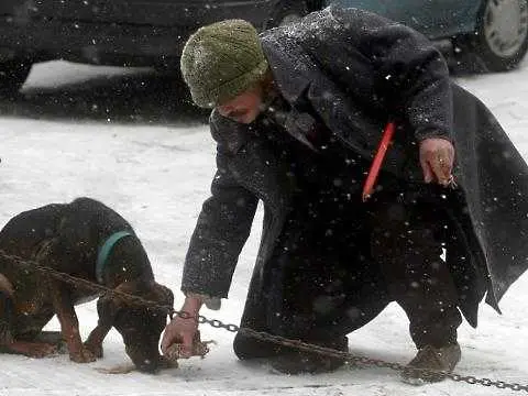 Отварят кризисен център за бездомни в столицата