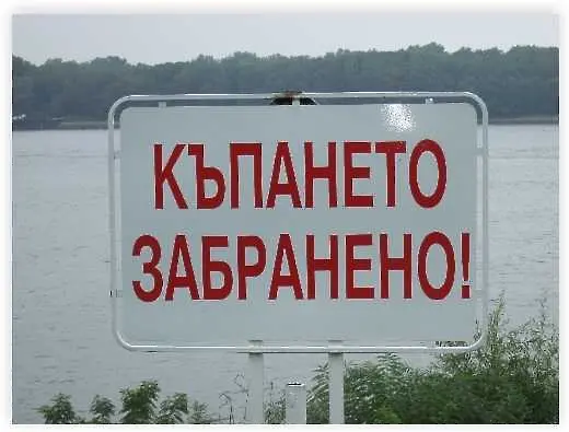 Дунав отровен, забраниха къпането във Видинско през лятото