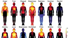 Изследване показва как тялото ни реагира на емоциите