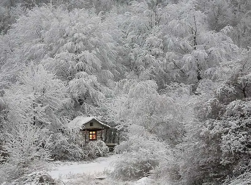 Далеч от суетата на тълпата (фотогалерия)