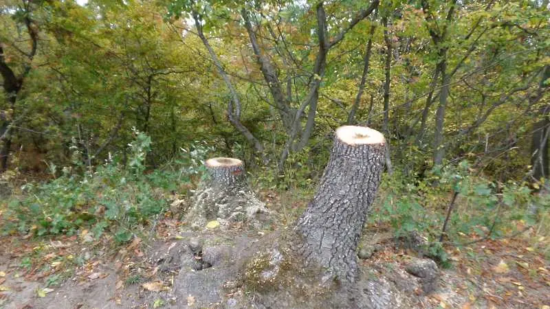 Горите край водосбори стават защитени