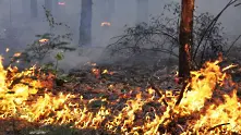 Екстремно висок риск от пожари в Ямболска и Хасковска област днес