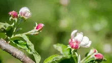 Времето: Топло, но с превалявания