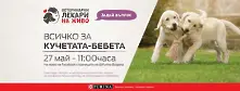 Утре PURINA® България организира онлайн обучителна сесия 