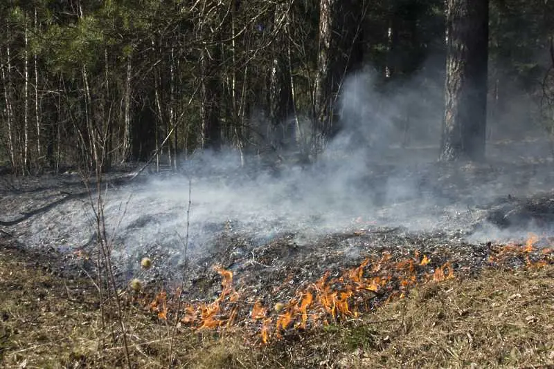 Напълно е потушен пожарът край Стара Кресна