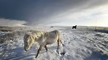 Как да правим красиви зимни снимки