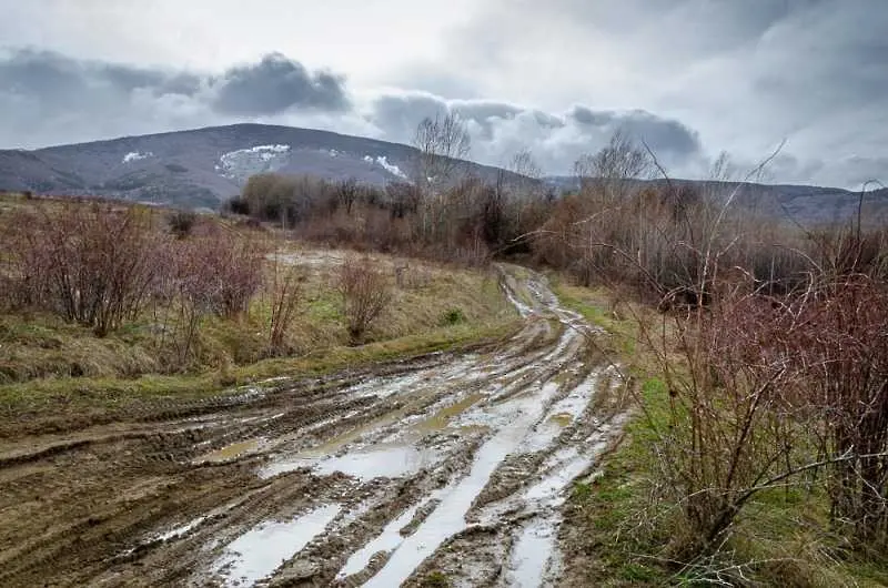 Времето: облачно и дъждовно