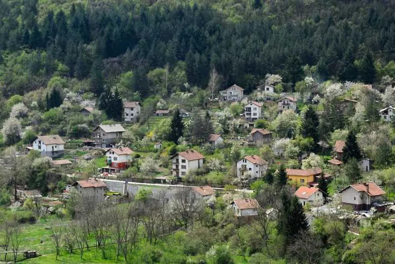 Времето: Слънчево и топло