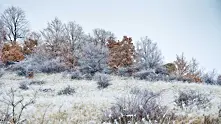 Времето: Продължава да застудява. Ще прехвърча сняг