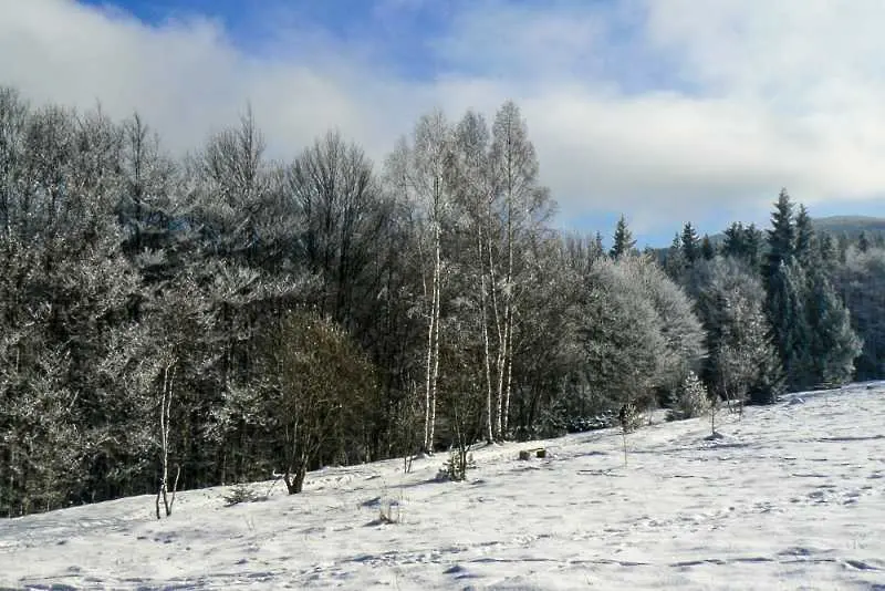 Времето: Ще се покаже слънце