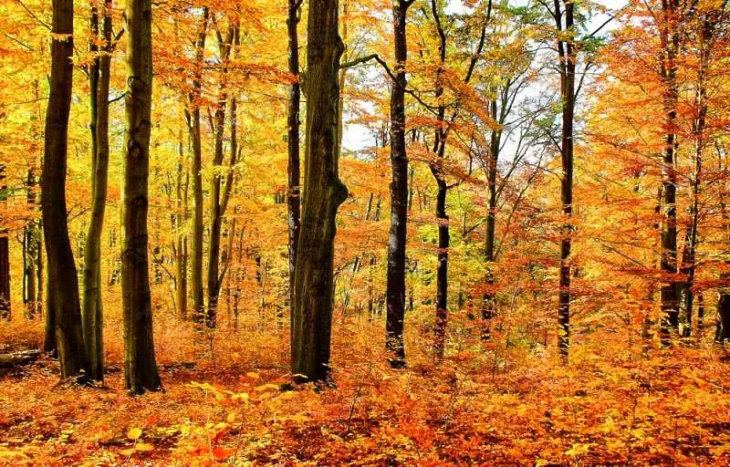 Времето: Захлаждането продължава