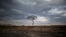 Флорида обяви извънредно положение заради изтичане на опасни води