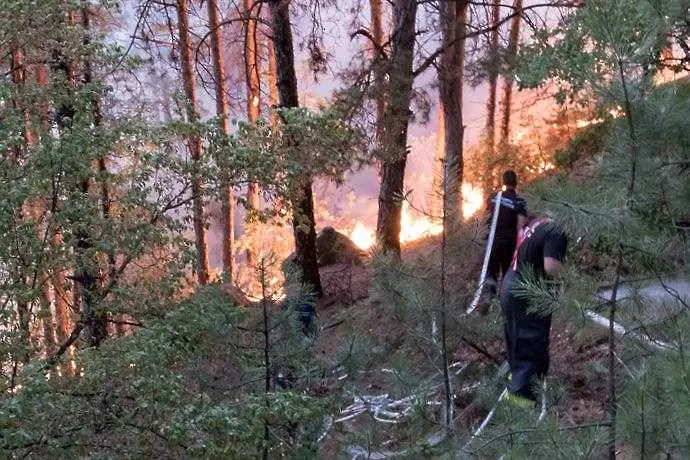 Пожар край Сандански взе жертви, евакуират хора заради огнена стихия край Старосел