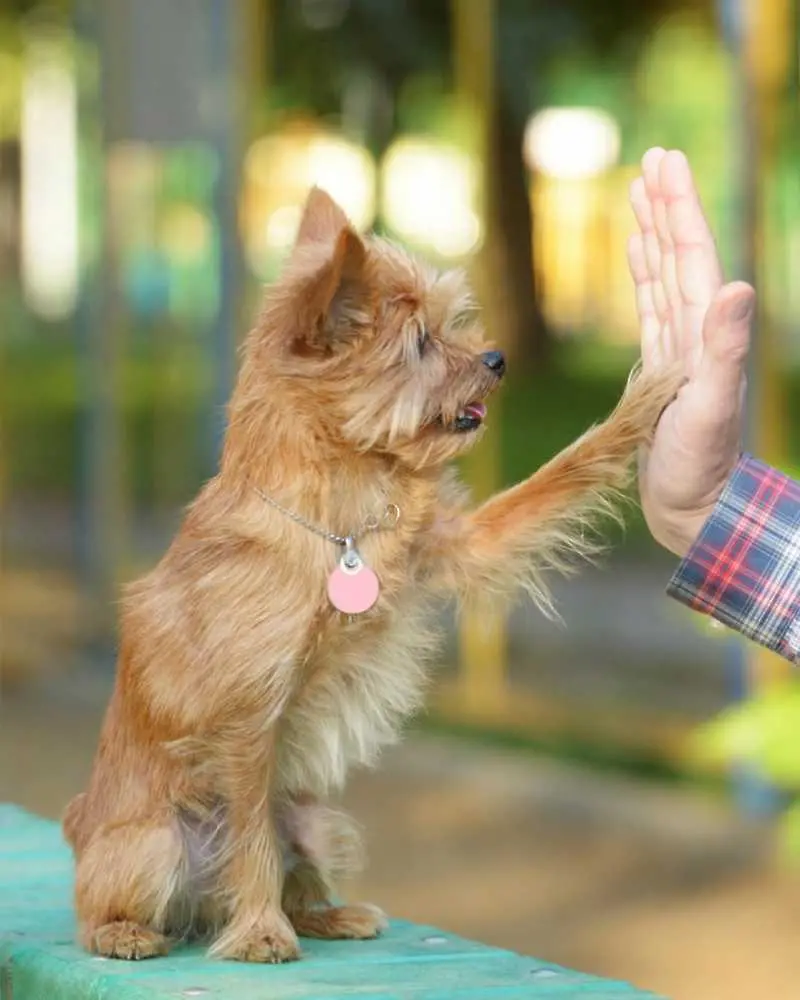 Снимка: Guliver / iStock