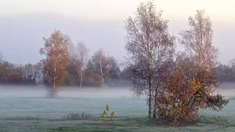 Времето: Облачно, на места със сутрешни мъгли