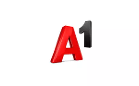 A1