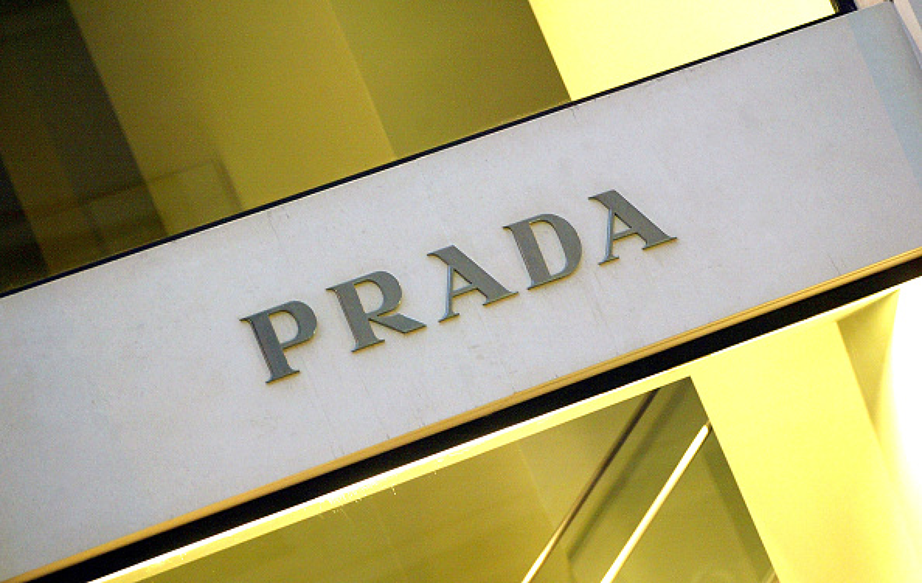 Prada представи дъждобрани за кучета 