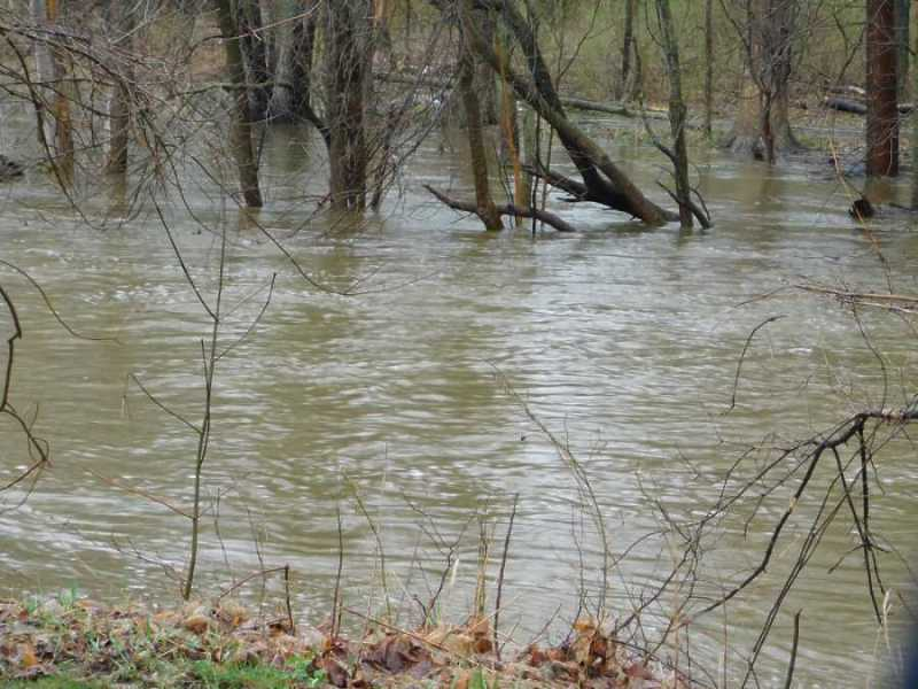 Северозападна България е под вода