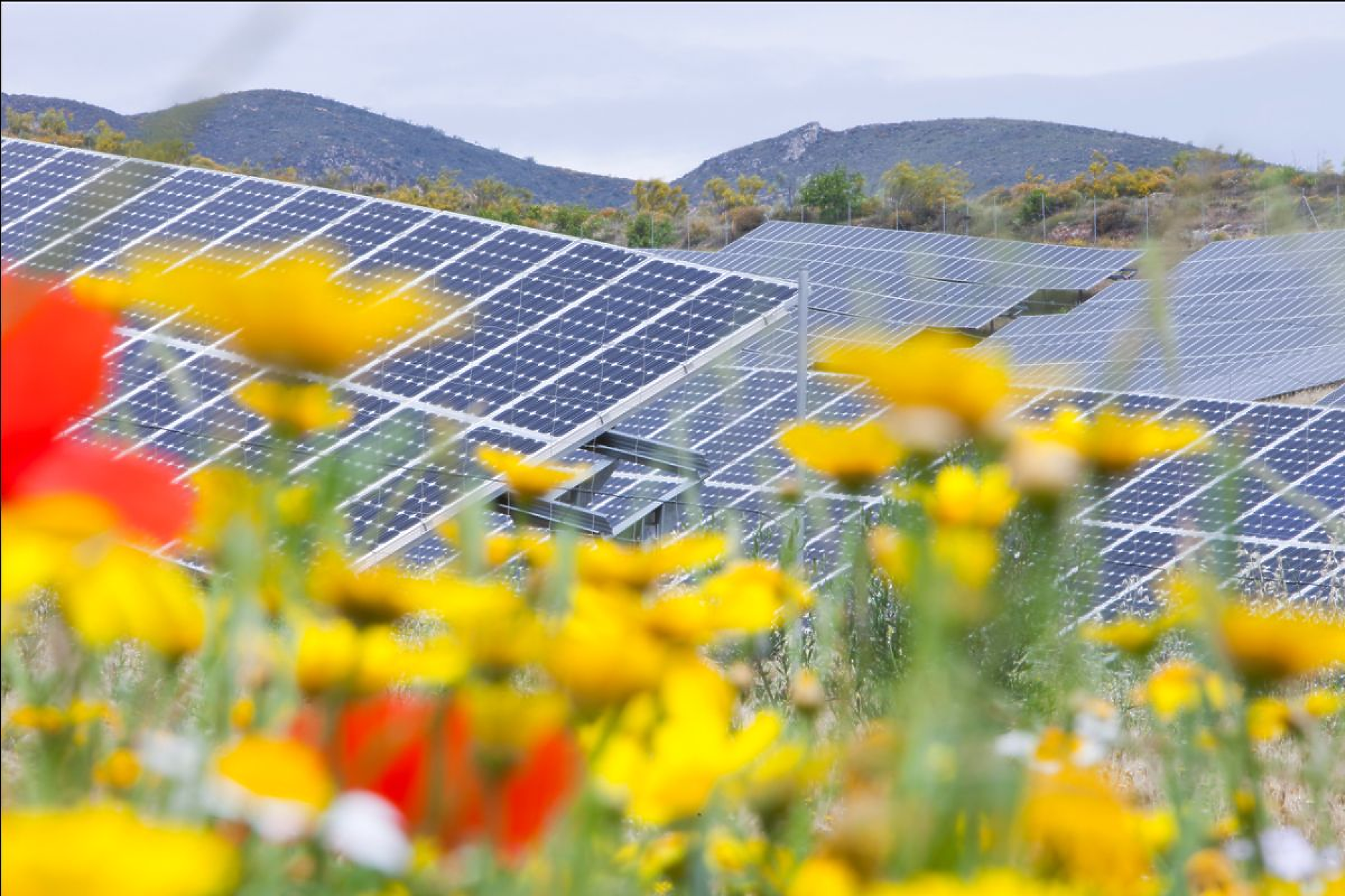 България планира да добива 20 GW енергия от възобновяеми източници до 2050 г.