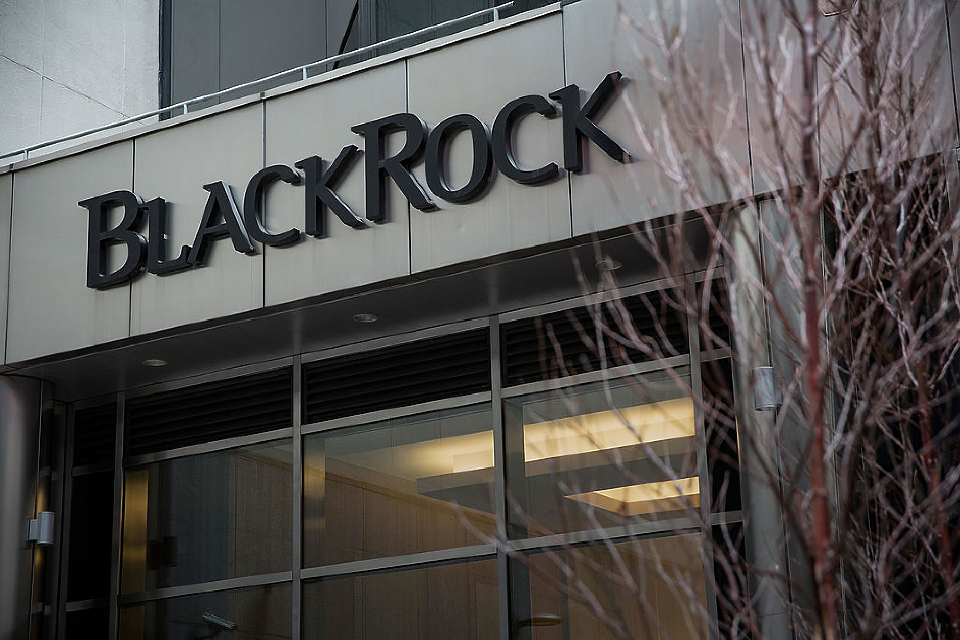 BlackRock преговаря с правителства за инвестиции в електроенергийния капацитет 