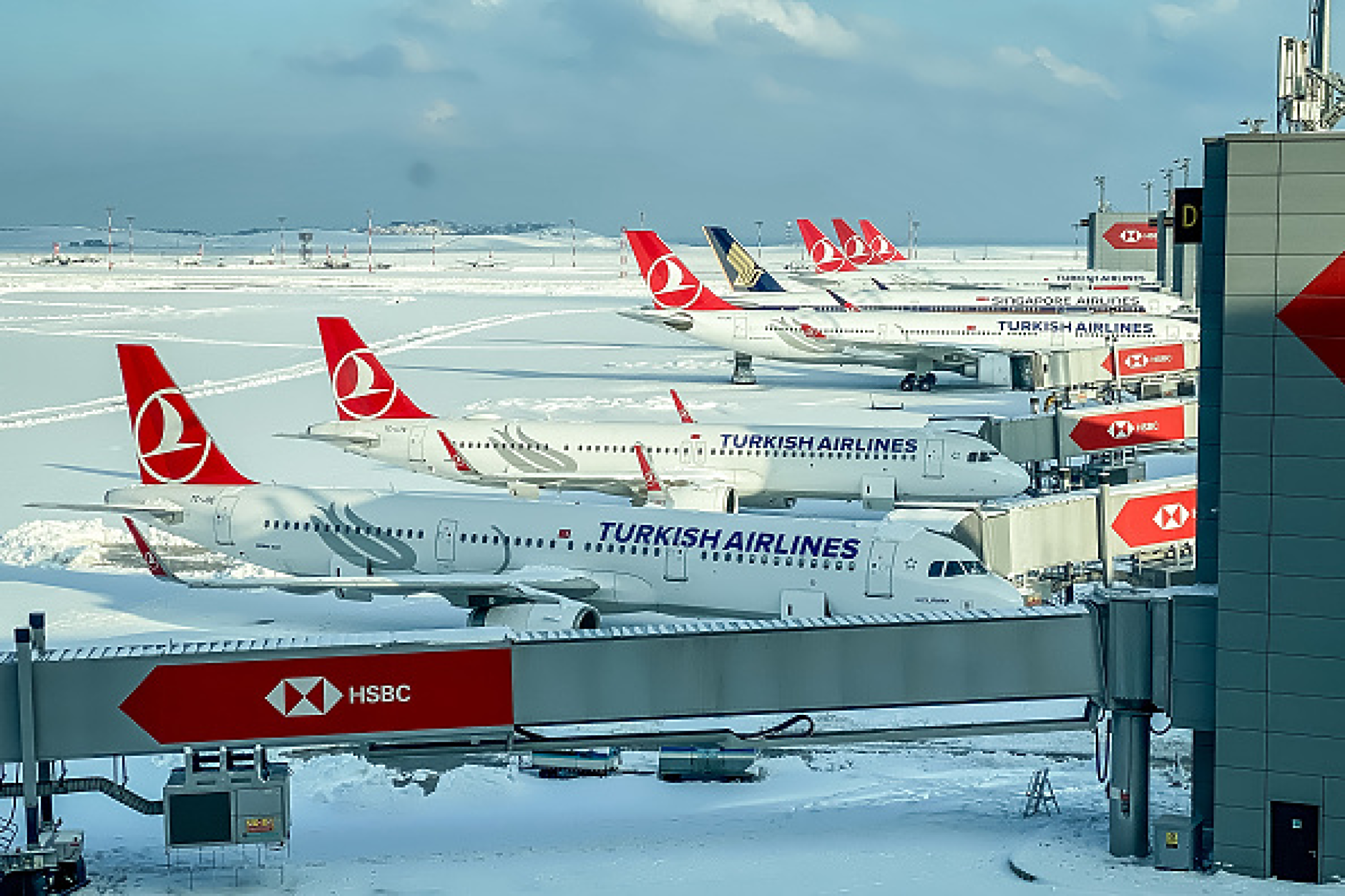 Авиокомпания Turkish Airlines влезе в рекордите на „Гинес“ по брой дестинации, до които лети